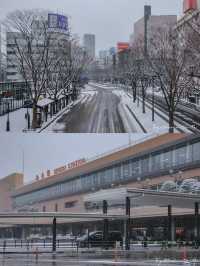 Sendai ในวันที่หิมะโปรยปราย~🌨️❄️🇯🇵