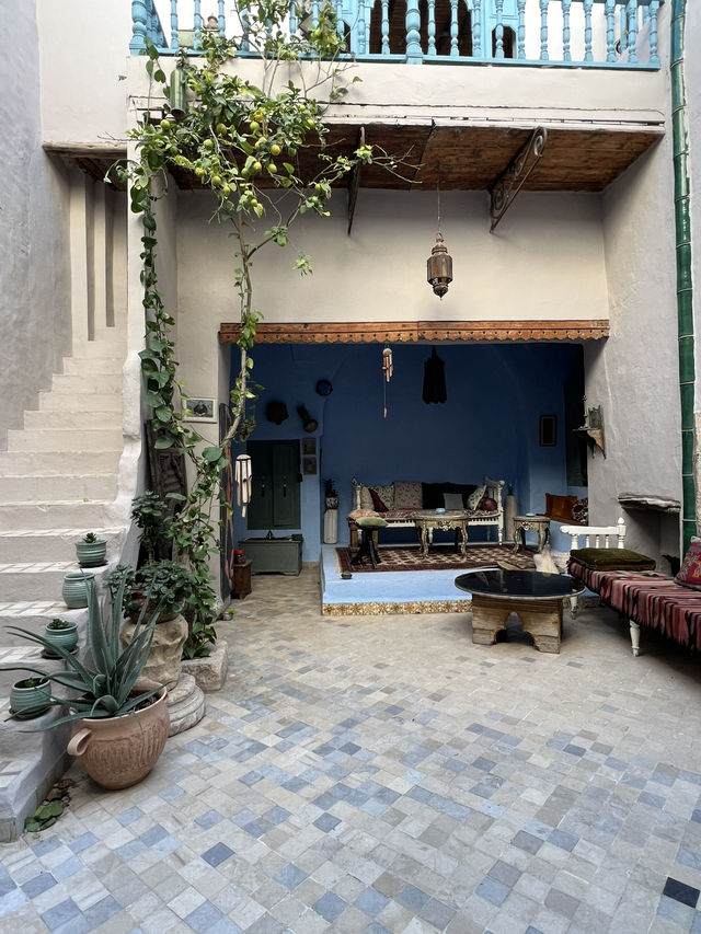 A Perfect Tunisian Breakfast at Tiziri🐈