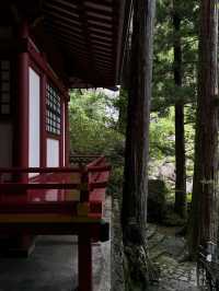  A Journey to Sacred Serenity: My Adventure to Kumano-Nachi Grand Shrine