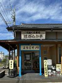 📍 くるくる寿司 ほがらか亭/福井