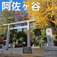[阿佐ヶ谷]厄除けパワースポット[阿佐ヶ谷神明宮]