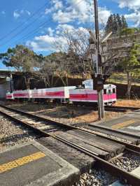 Amaterasu Railyway Fun 🚉