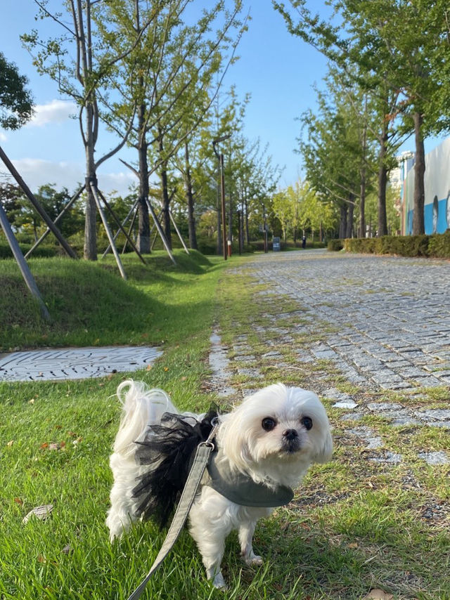 봄에 떠나는 부산시민공원🌳❤️