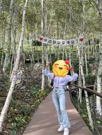 날 좋은 날 데이트하기 좋은 곳!