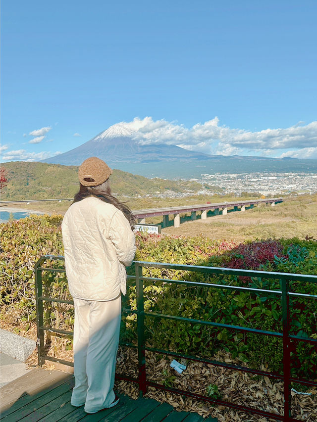아름다운 일본 여행지🇯🇵Shizuoka