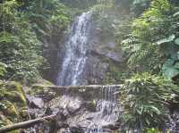 Ng Tung Chai Waterfall: Hong Kong’s Wildest Jungle Hike 