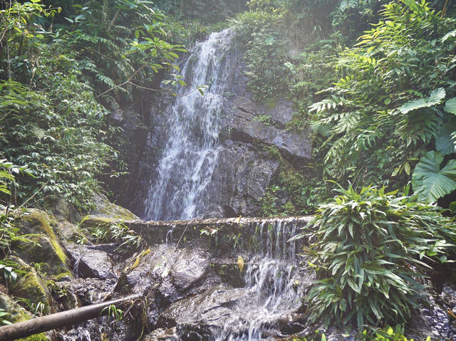 Ng Tung Chai Waterfall: Hong Kong’s Wildest Jungle Hike 