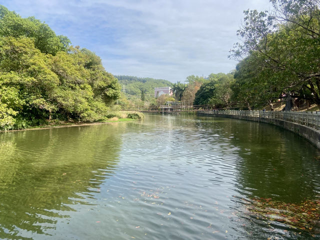 週末好去處🔥如非洲草原般的深圳「東湖公園」🌴🏞️