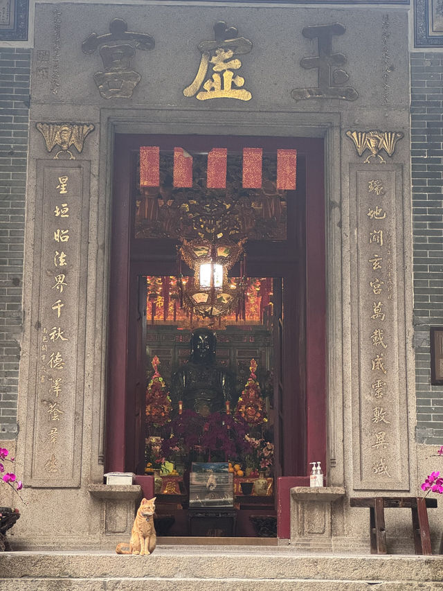 낭만의나라 홍콩🇭🇰