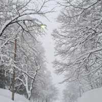 Forget about Hokkaido, come here instead!! 