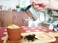 FlowerPot Café Ramkhamhaeng 21 คาเฟ่กรุงเทพ