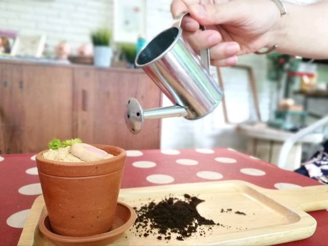 FlowerPot Café Ramkhamhaeng 21 คาเฟ่กรุงเทพ