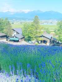 北海道に是非！