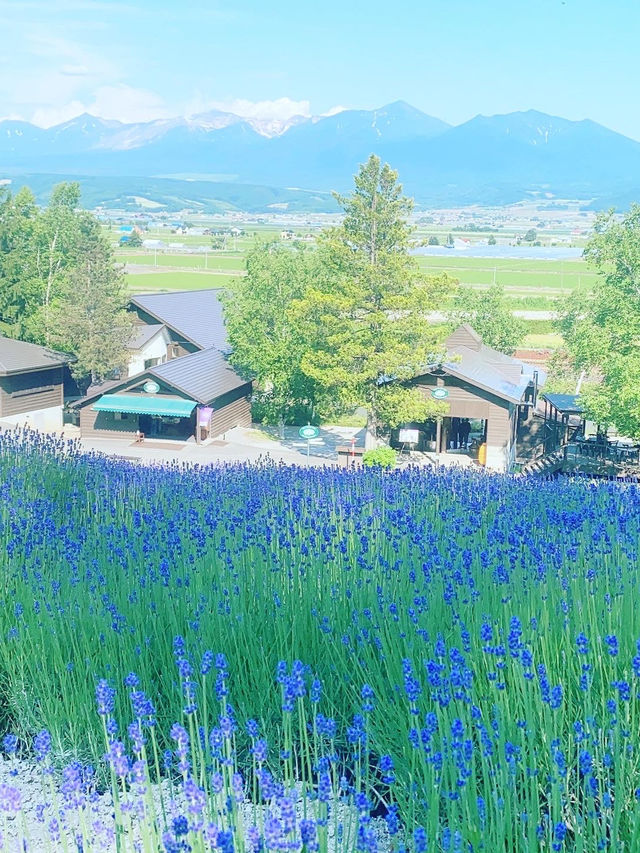 北海道に是非！