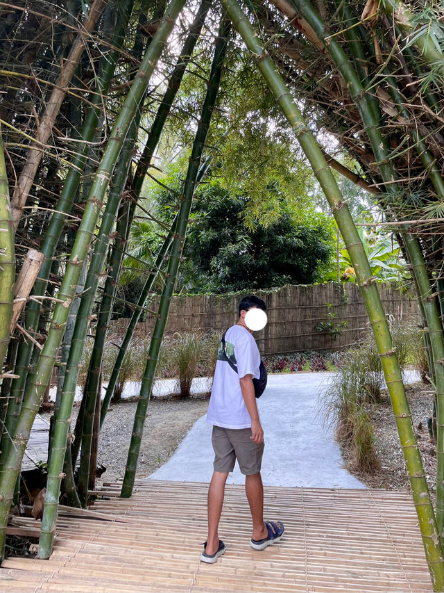 คาเฟ่สวนผึ้ง บรรยากาศดี ใกล้ชิดธรรมชาติ สมชื่อ!
