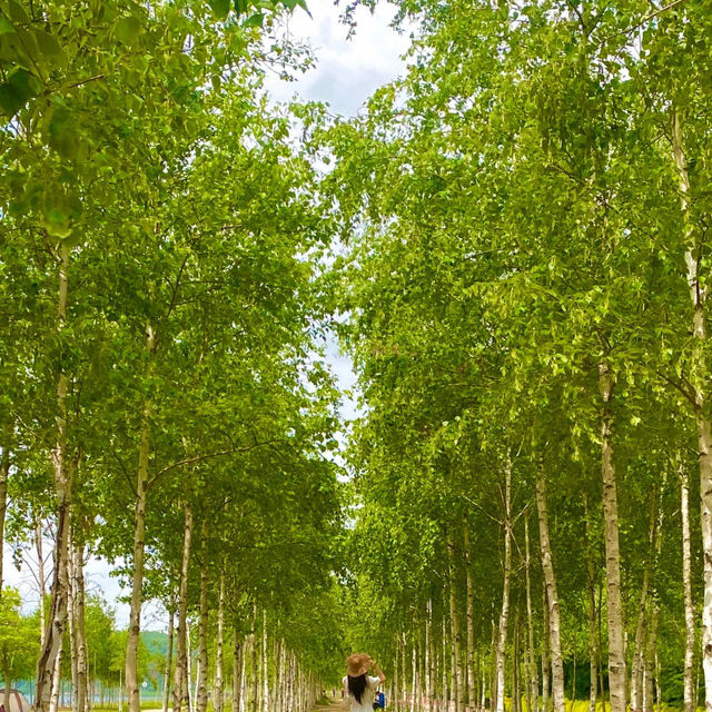 남양주 1박2일 여행코스 이걸로 종결‼️