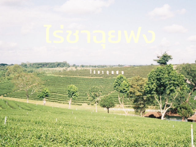 คาเฟ่เชียงรายที่ต้องไป ⛰️