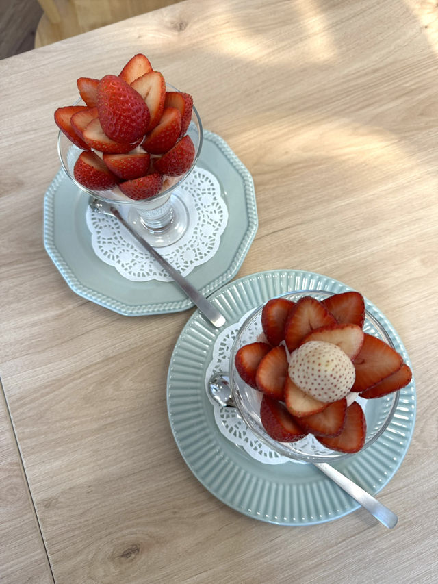 【福岡観光】その日に採ったいちごが食べられる🍓いちご摘みできる農園さんのカフェ🍓