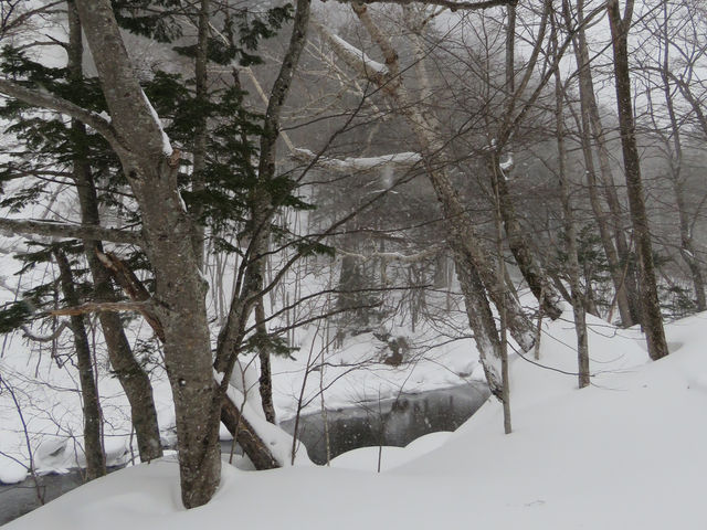 🇯🇵北海道最大最高國家公園🏞️