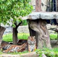江戶川區自然動物園：在動物世界裡玩得不亦樂乎！ 🐘🐨🐅