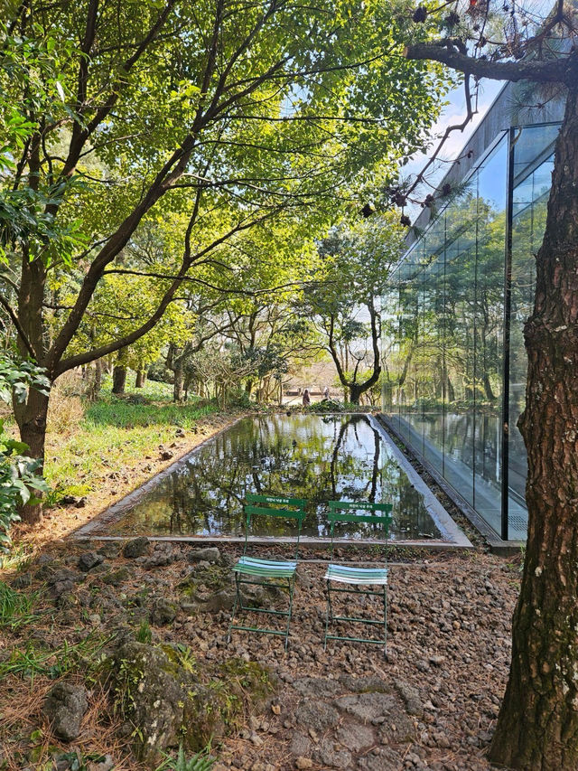 🪅🌳🪄제주 서쪽 가볼만한 곳 오설록 티뮤지엄 
