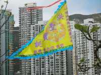 【洪聖傳統文化節】是以生動方式帶出本土傳統文化之慶典活動！