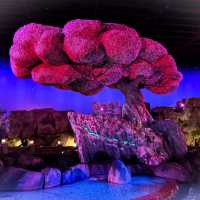 รีวิวโซน Kangfu Panda - Universal Beijing