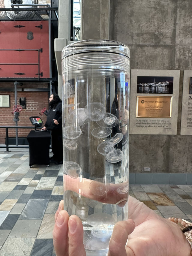 Monterey Bay Aquarium