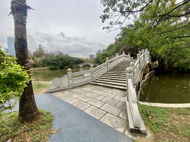 深圳週末好去處✨洪湖公園💕