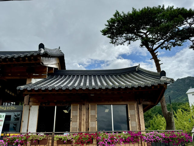피톤치드가 가득한 산책길🌳