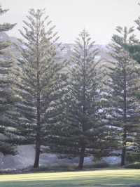 A Scenic Escape to Kiama 