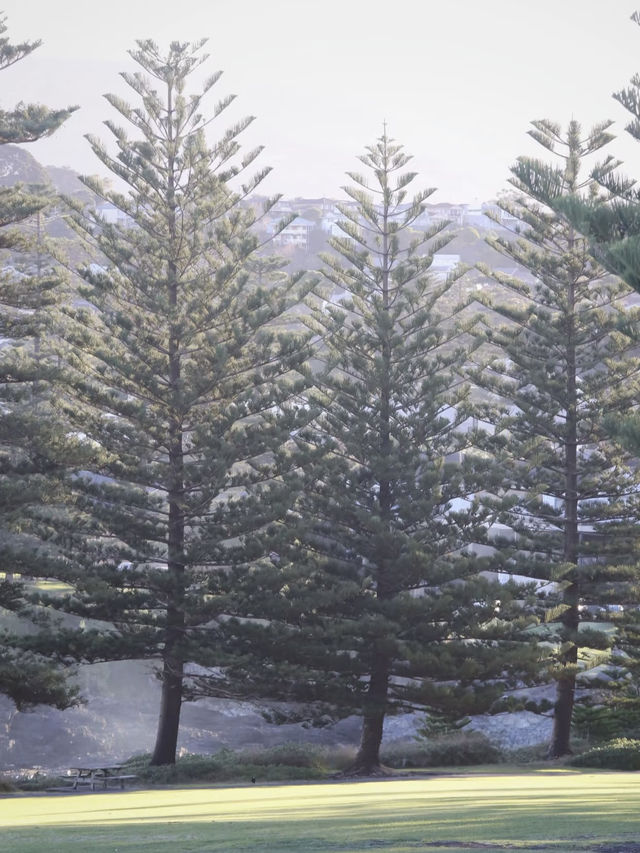 A Scenic Escape to Kiama 