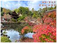 【岐阜/多治見】国宝に指定された観光スポット‼︎＊虎渓山 永保寺 （こけいざん えいほうじ）＊