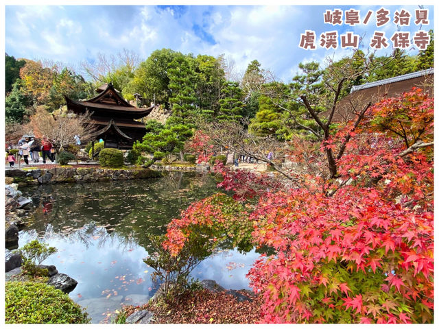 【岐阜/多治見】国宝に指定された観光スポット‼︎＊虎渓山 永保寺 （こけいざん えいほうじ）＊
