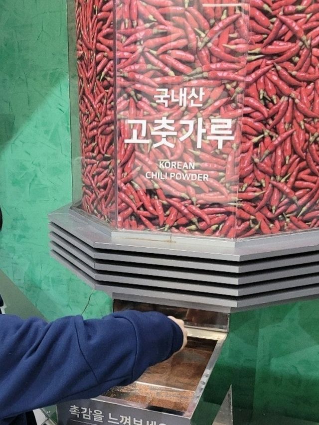 대구 실내 여행지 추천 '신전뮤지엄'
