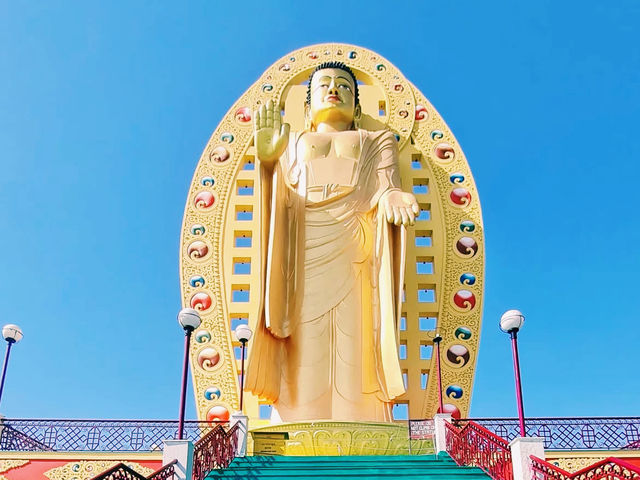荘厳なチベット仏教の世界へ🛕✨