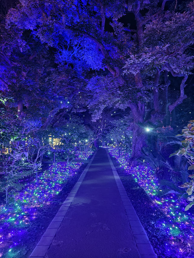 東京一座小島—江之島