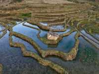 "Yuanyang Rice Terraces: A Masterpiece of Nature and Culture"