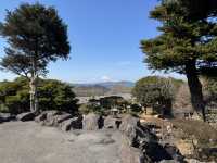 富士山 山中湖伊豆自駕遊之旅