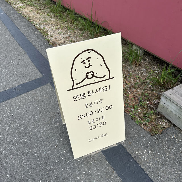 【春川】🇰🇷 ジャガイモ畑