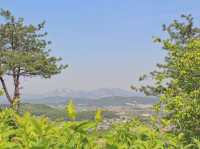 💛서울 근교 야외 나들이, 고양시 행주산성💛