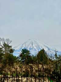 富士山Glamping住宿體驗🗻