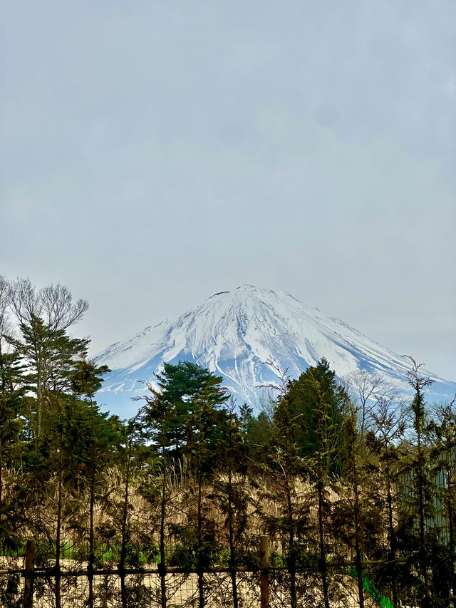 富士山Glamping住宿體驗🗻
