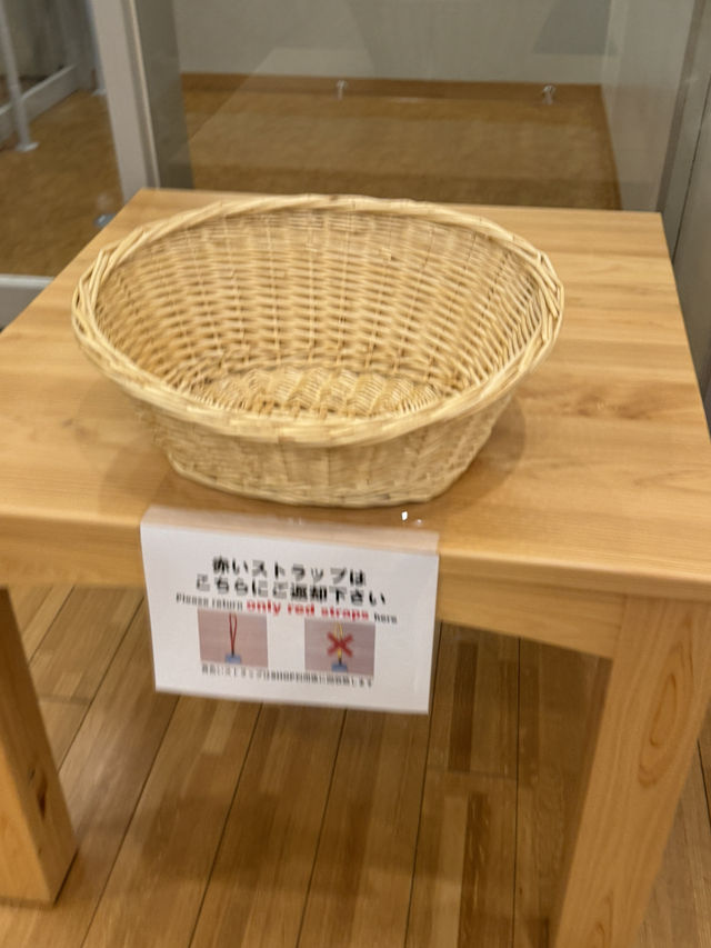 🇯🇵구마모토 가볼만한 곳