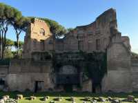 Walking Through History: Exploring the Roman Forum in Rome