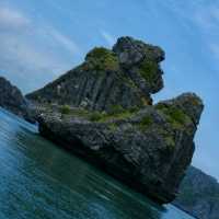 เกาะลิง ธรรมชาติทางทะเล