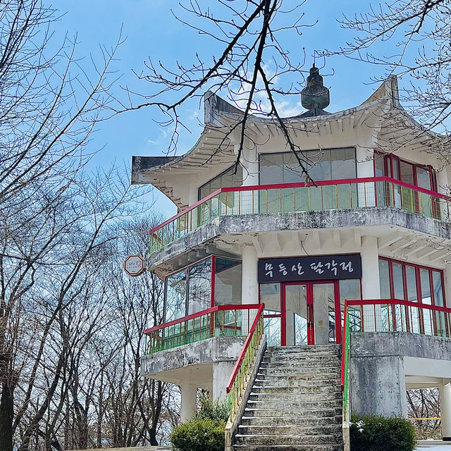 광주가면 꼭 타봐야 하는 지산유원지의 모노레일 💛