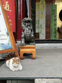 Daci Temple: Peaceful Oasis in Downtown Chengdu