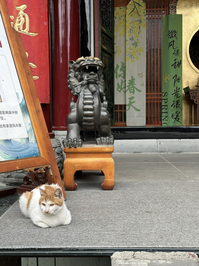 Daci Temple: Peaceful Oasis in Downtown Chengdu