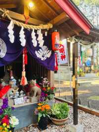【新座】御朱印が綺麗で可愛い✨穴場神社‼️
